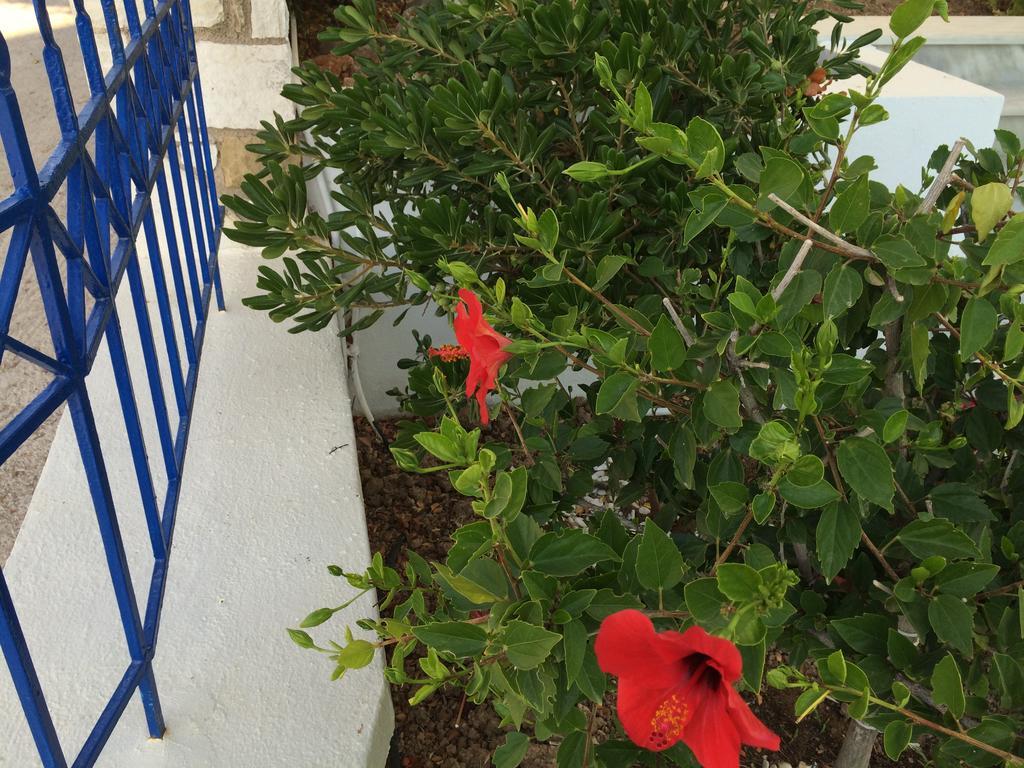 Sea Breeze Apartments Chios Monolia Екстер'єр фото
