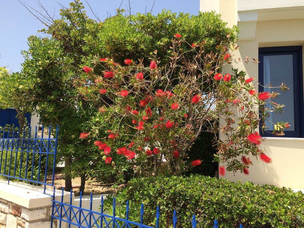Sea Breeze Apartments Chios Monolia Екстер'єр фото